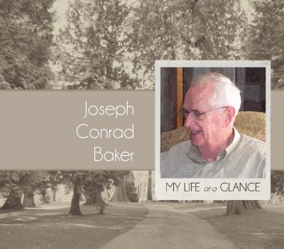 Life at a glance cover 2